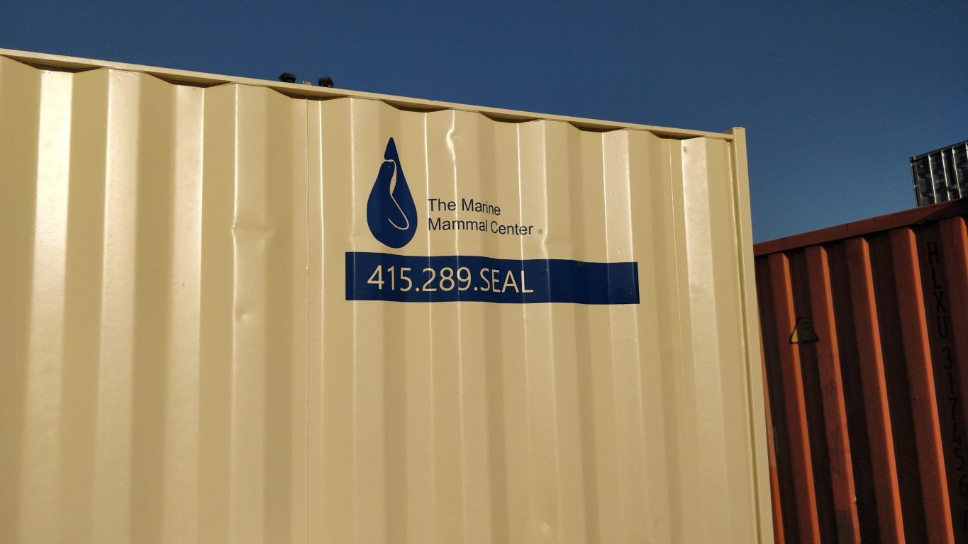 Vinyl logo - Image 3